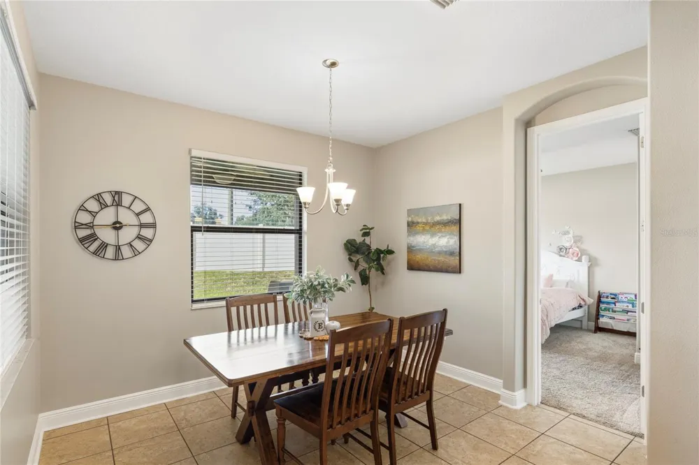 11020 BRAHMAN RANCH CIRCLE Riverview, FL 33578