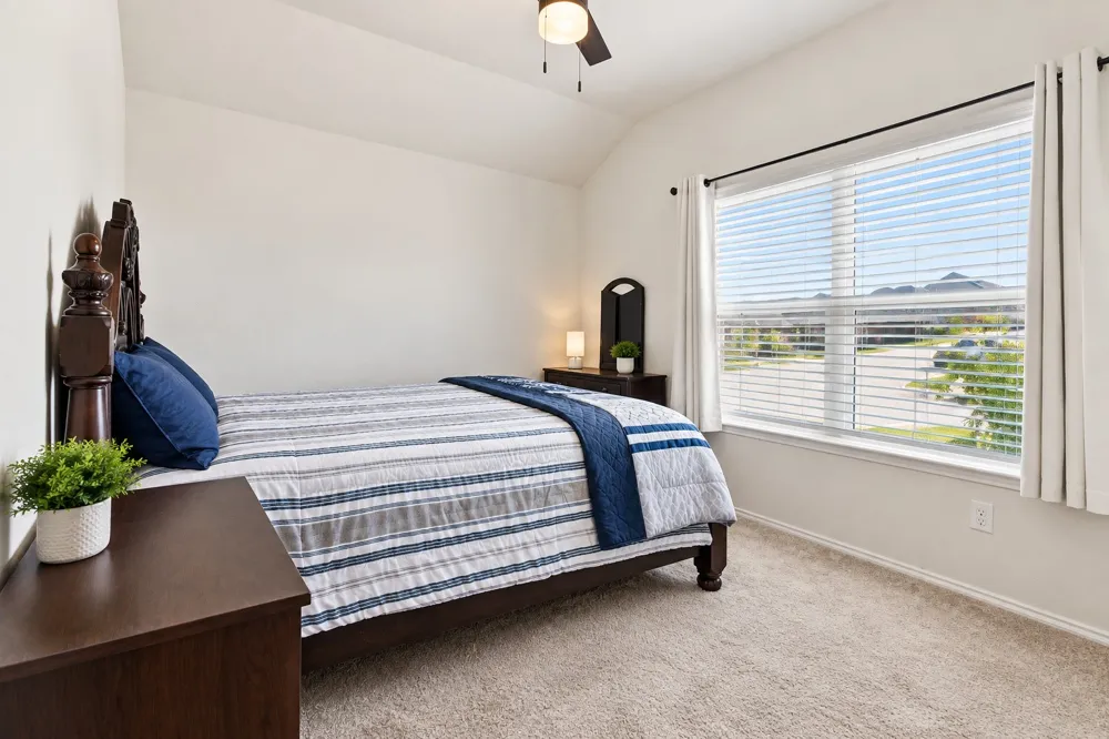 1810 Alamandine Avenue Cross Roads, TX 76227