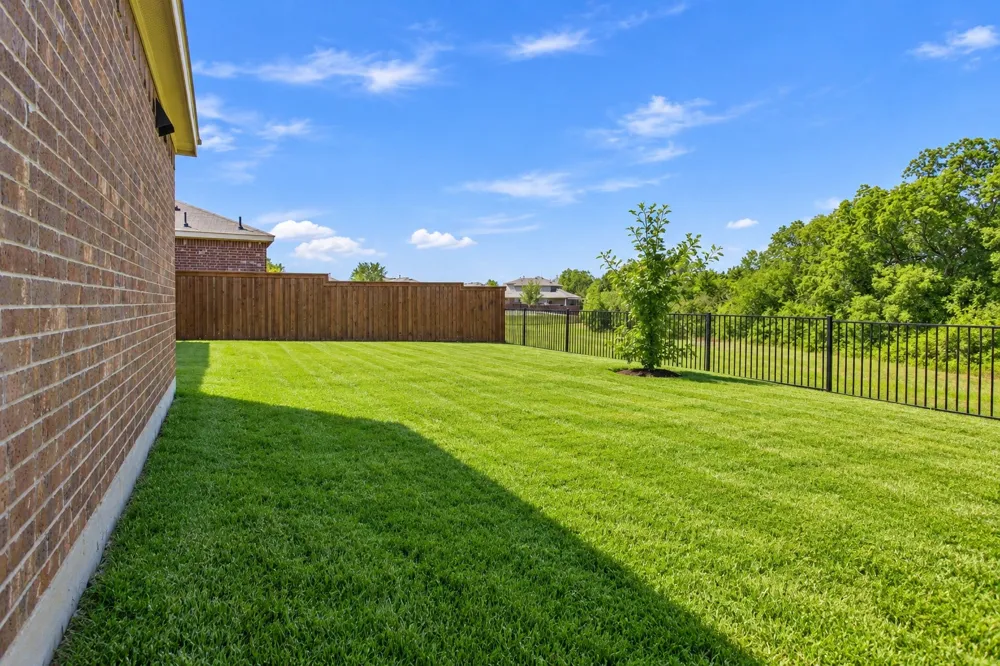 1810 Alamandine Avenue Cross Roads, TX 76227
