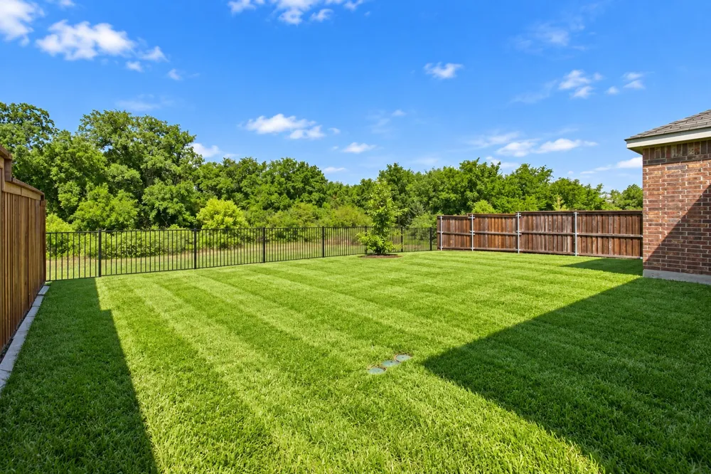 1810 Alamandine Avenue Cross Roads, TX 76227
