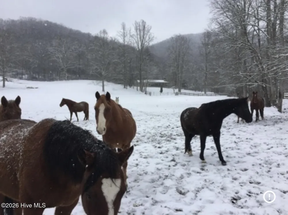 1306 Hot House Road Hayesville, NC 28904