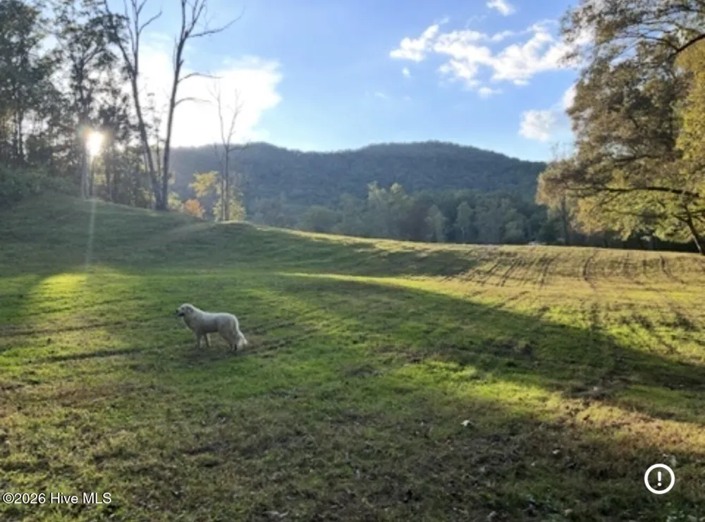 1306 Hot House Road Hayesville, NC 28904
