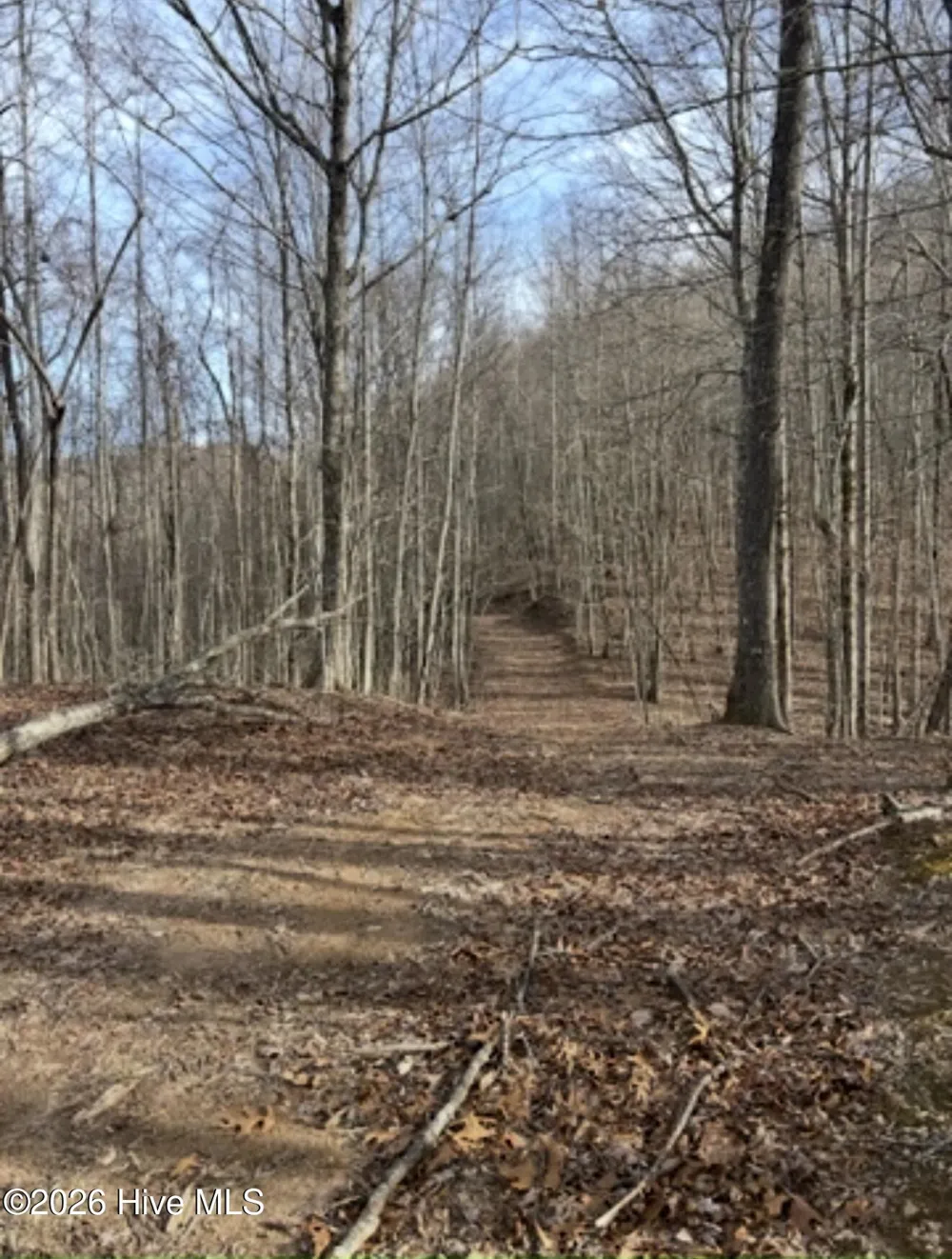 1306 Hot House Road Hayesville, NC 28904