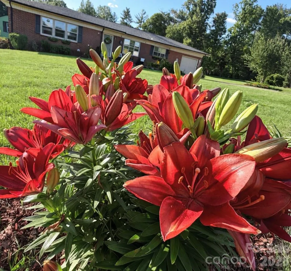 3162 Morganton Boulevard SW Lenoir, NC 28645