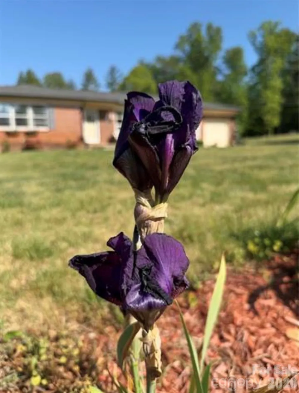 3162 Morganton Boulevard SW Lenoir, NC 28645