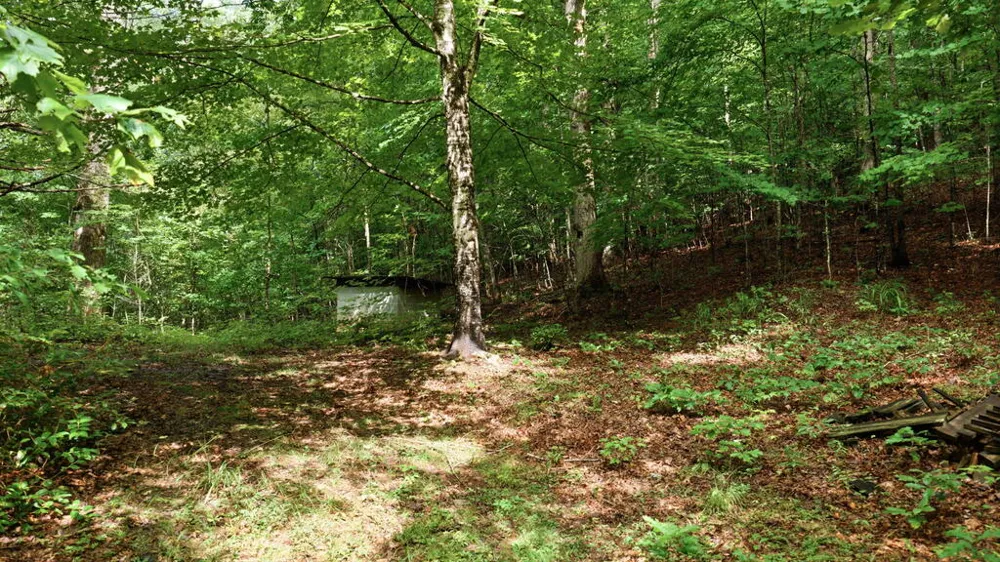 Allison Watts Road Franklin, NC 28734