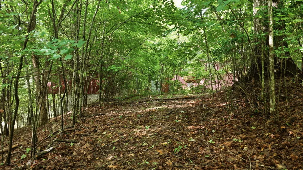 Allison Watts Road Franklin, NC 28734
