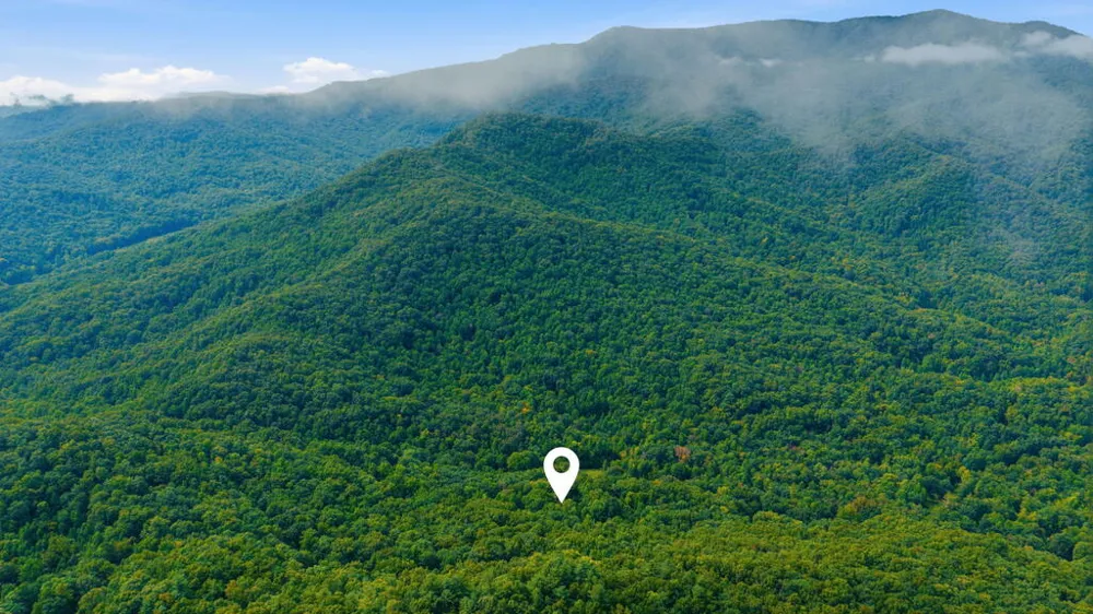Allison Watts Road Franklin, NC 28734