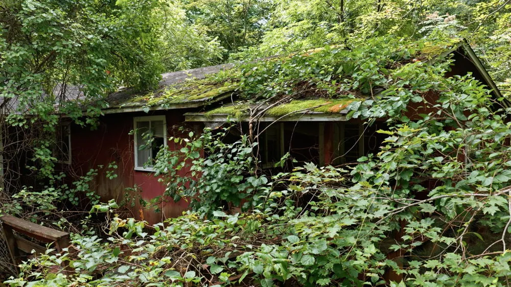Allison Watts Road Franklin, NC 28734