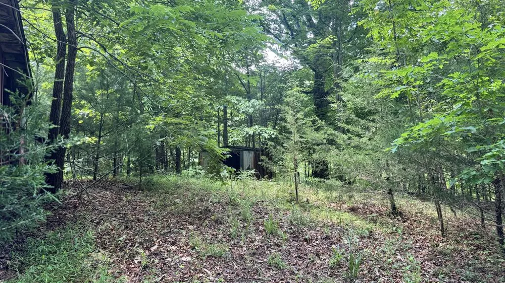 Allison Watts Road Franklin, NC 28734