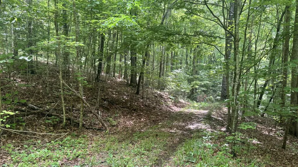 Allison Watts Road Franklin, NC 28734