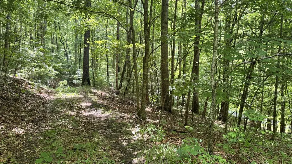 Allison Watts Road Franklin, NC 28734