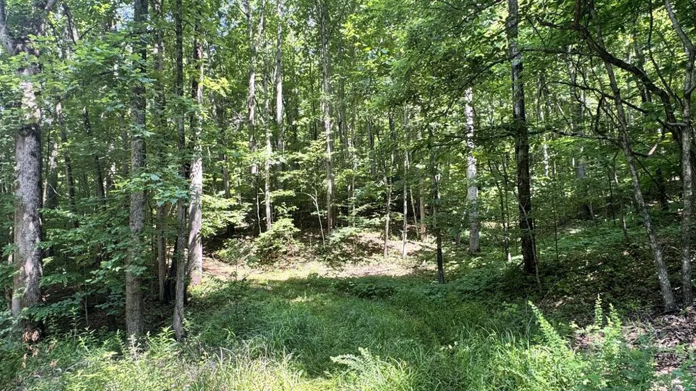 Allison Watts Road Franklin, NC 28734