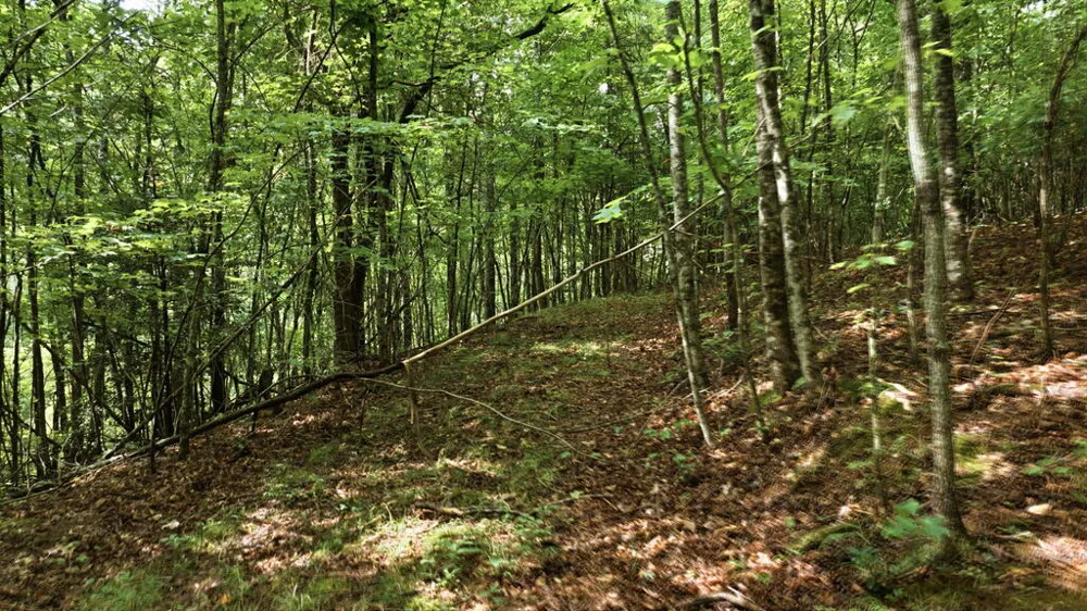 Allison Watts Road Franklin, NC 28734