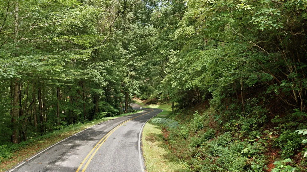 Allison Watts Road Franklin, NC 28734