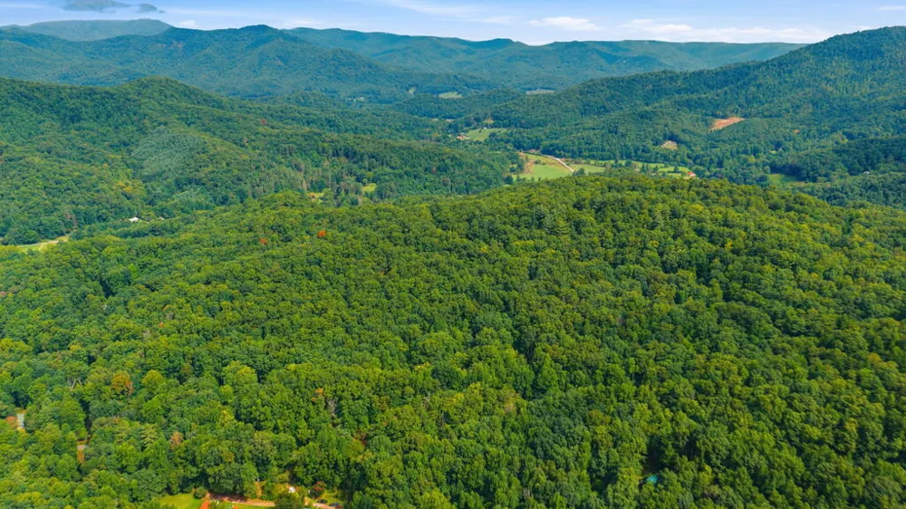 Allison Watts Road Franklin, NC 28734