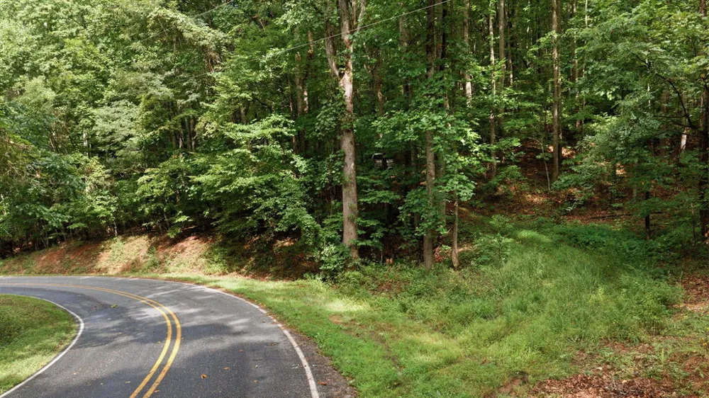 Allison Watts Road Franklin, NC 28734