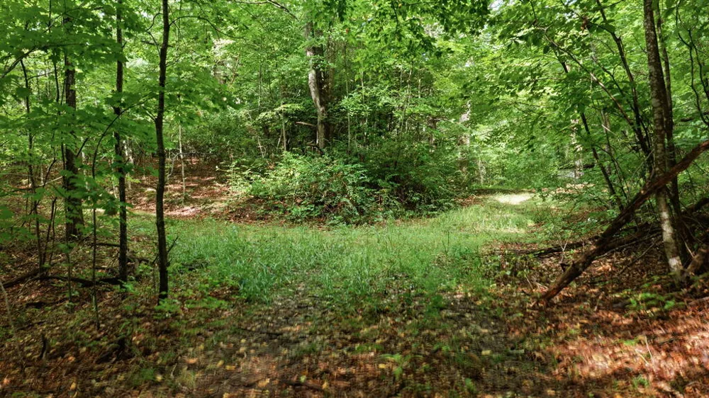 Allison Watts Road Franklin, NC 28734