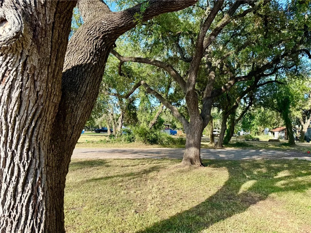 170 White Lane Beeville, TX 78102
