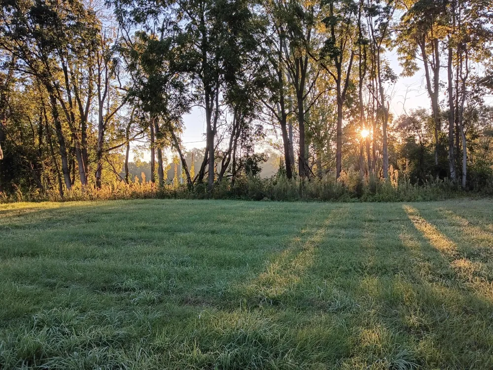 28280 D DRIVE Albion, MI 49224