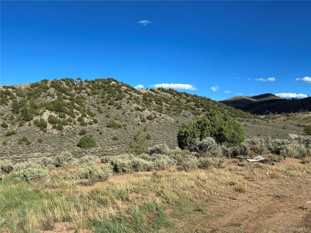 LOT 4858 Mauro Road Fort Garland, CO 81133