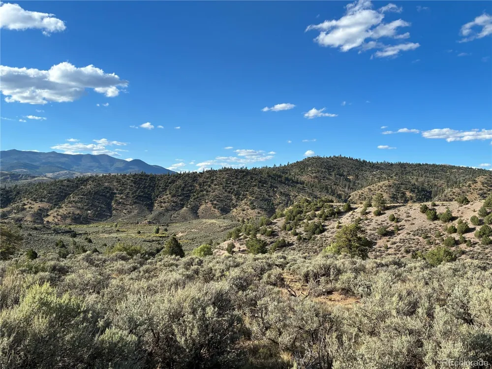 LOT 4858 Mauro Road Fort Garland, CO 81133