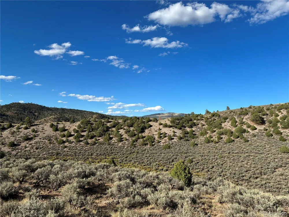 LOT 4858 Mauro Road Fort Garland, CO 81133