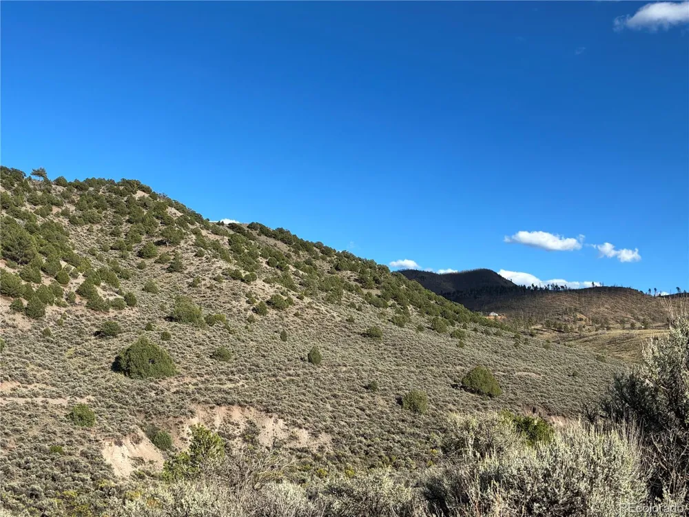 LOT 4858 Mauro Road Fort Garland, CO 81133
