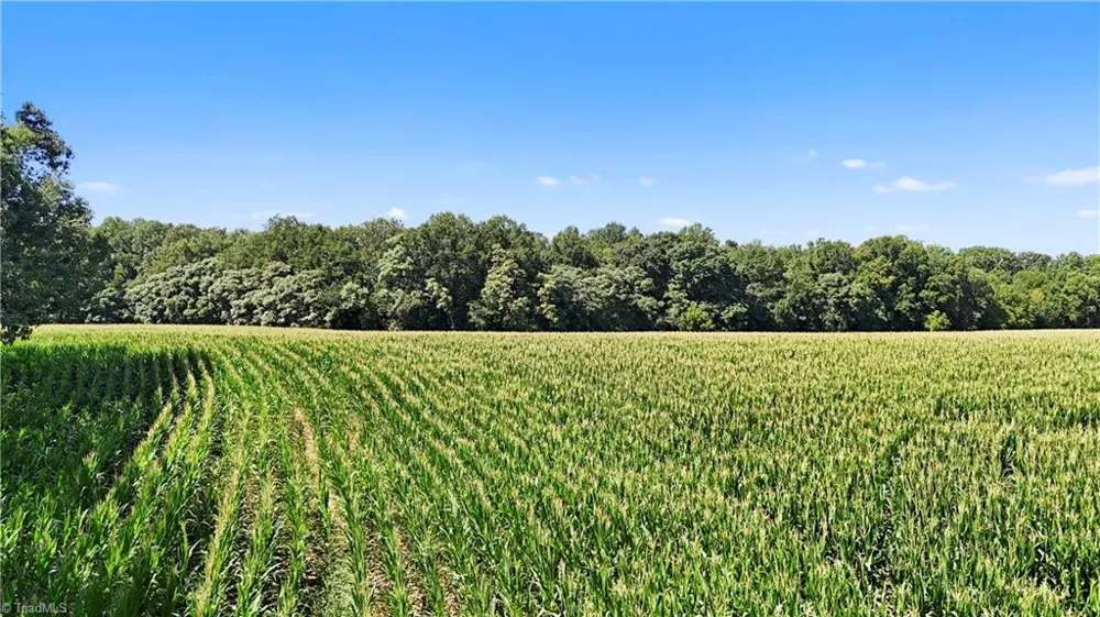 TBD LOT 5 Howards Bridge Road Union Grove, NC 28689