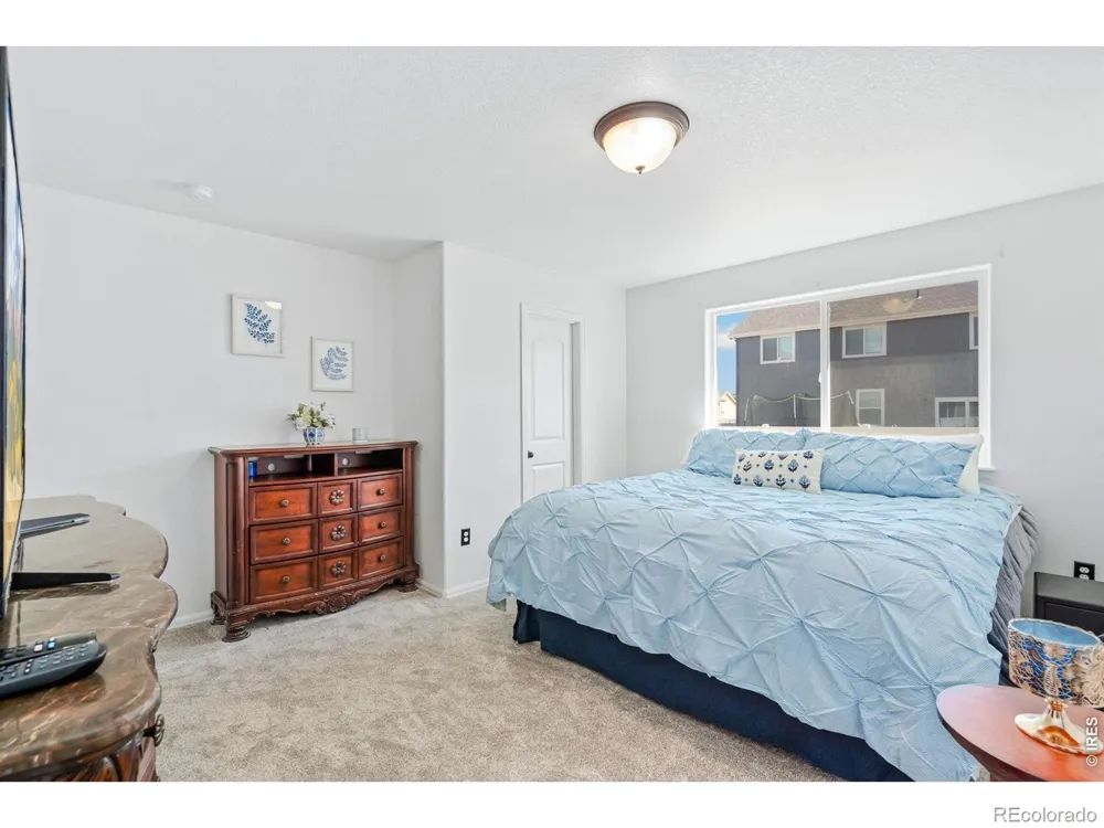 259 Castle Drive Severance, CO 80550
