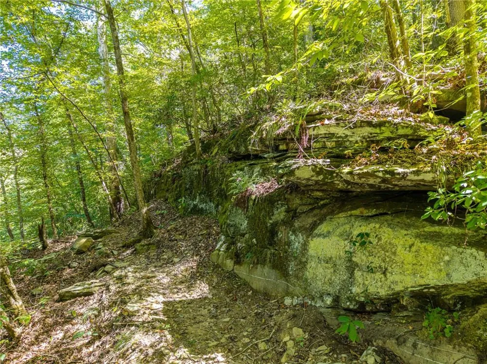 1275 Marie Drive Ellijay, GA 30175