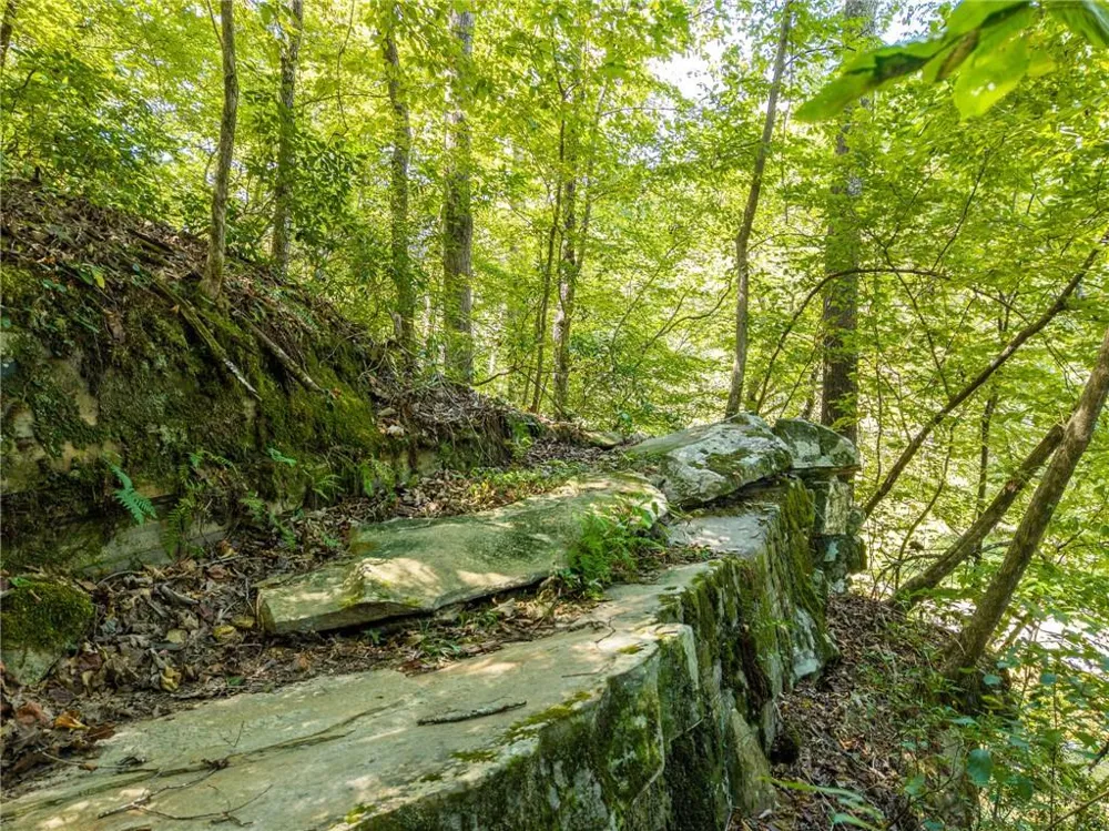 1275 Marie Drive Ellijay, GA 30175