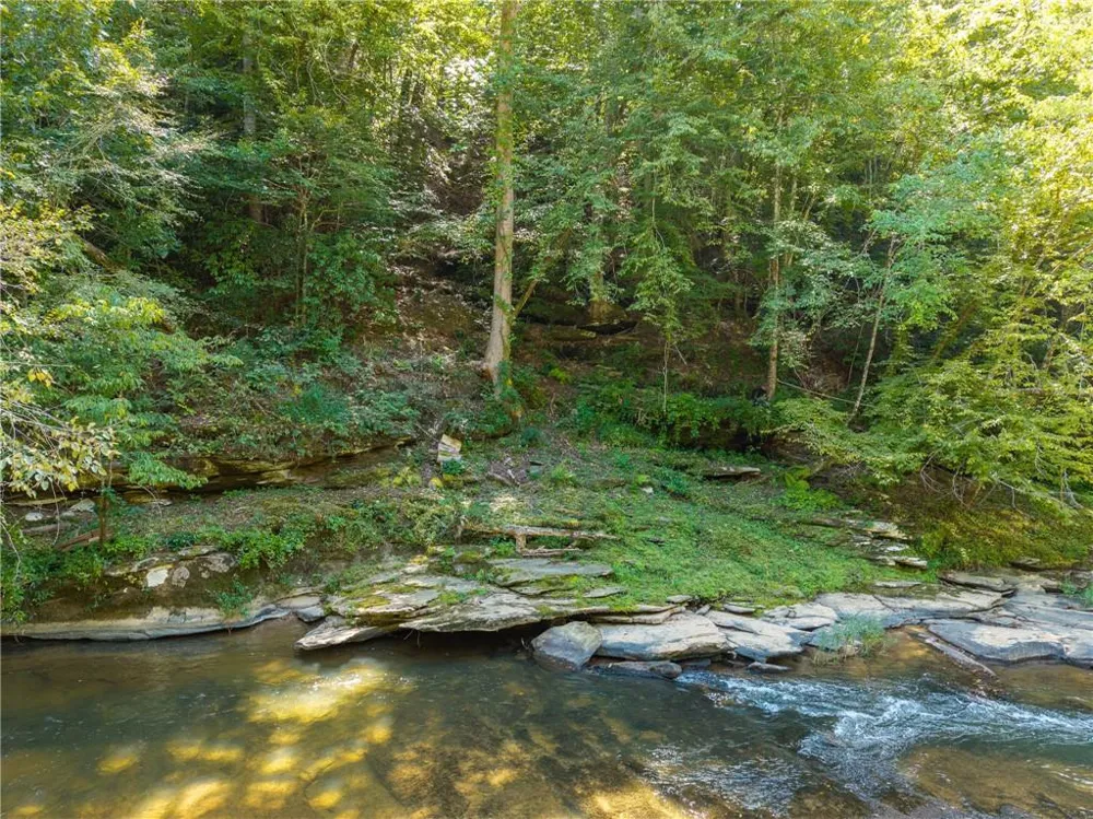 1275 Marie Drive Ellijay, GA 30175