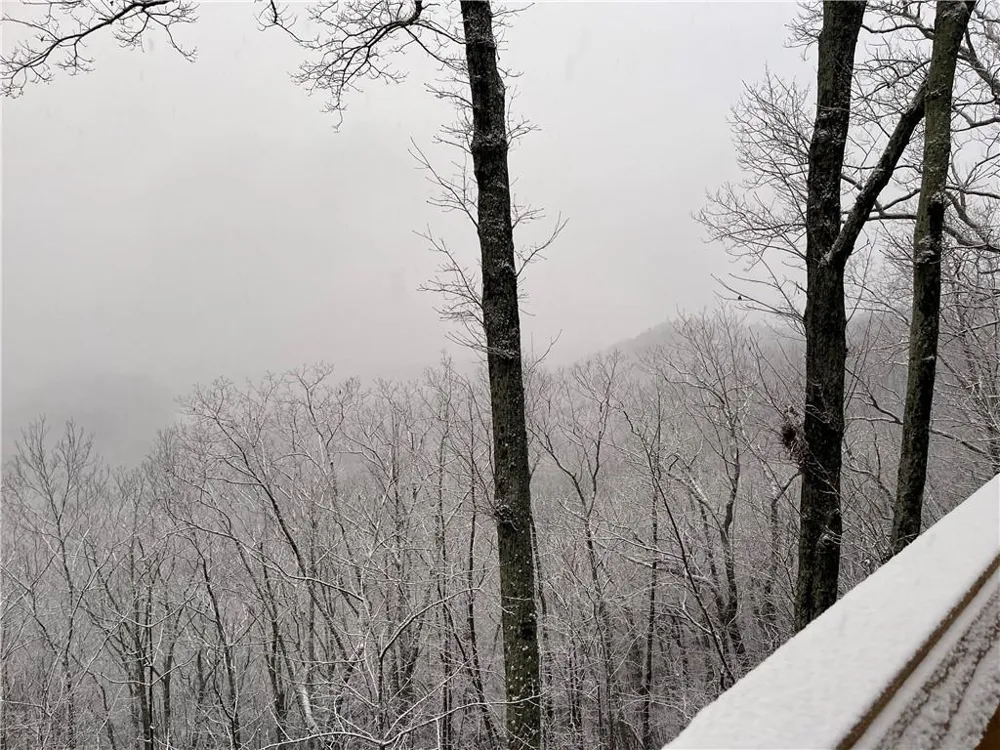 1275 Marie Drive Ellijay, GA 30175