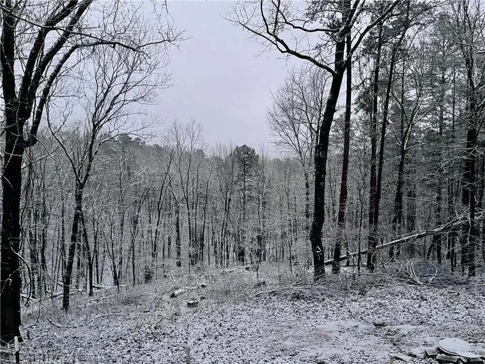 1275 Marie Drive Ellijay, GA 30175