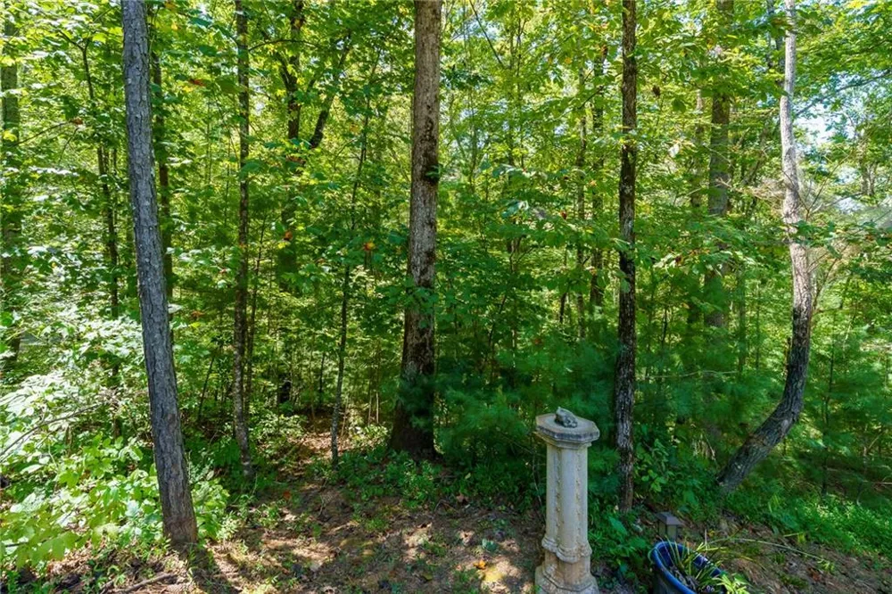 1275 Marie Drive Ellijay, GA 30175
