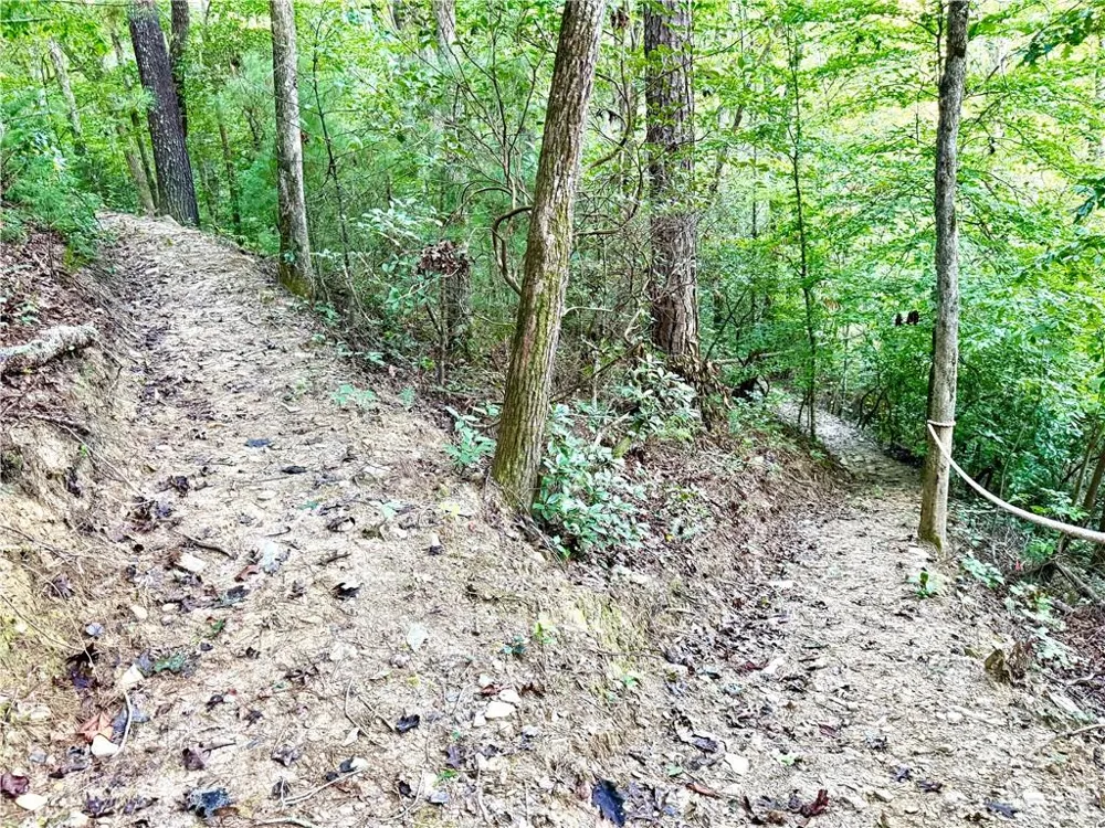 1275 Marie Drive Ellijay, GA 30175