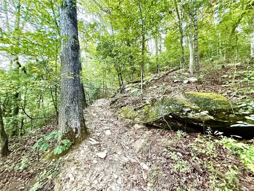 1275 Marie Drive Ellijay, GA 30175