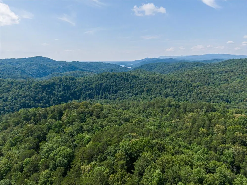 1275 Marie Drive Ellijay, GA 30175