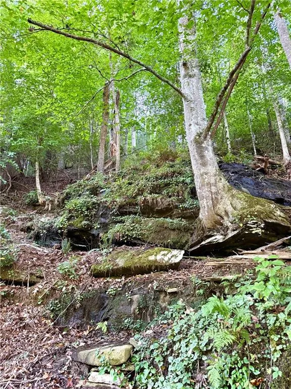 1275 Marie Drive Ellijay, GA 30175