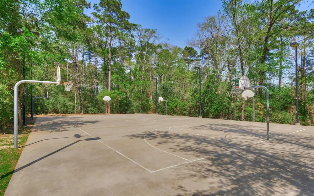 163 Hawkhurst Circle The Woodlands, TX 77354