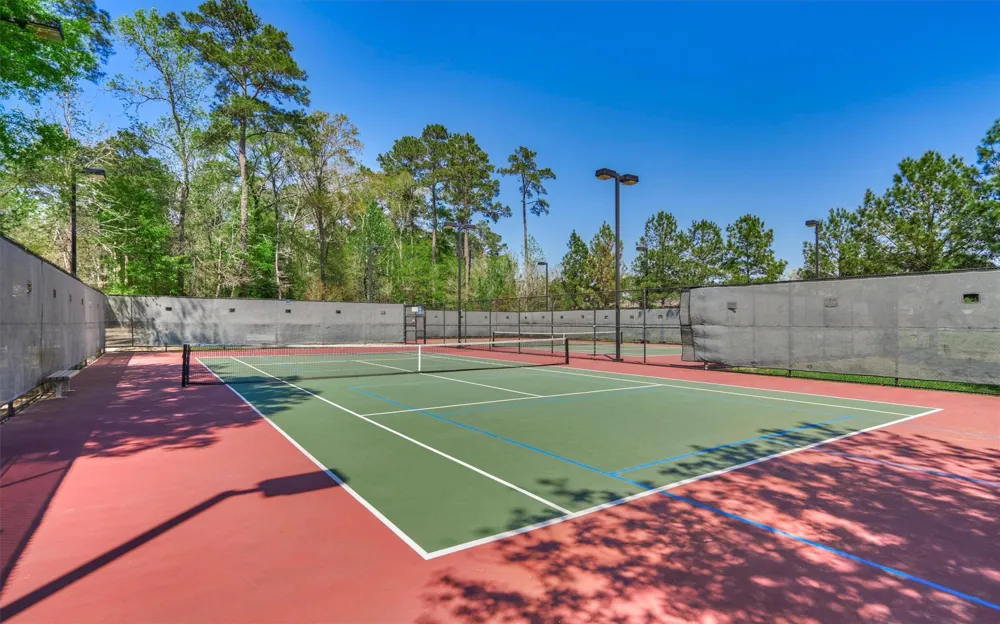 163 Hawkhurst Circle The Woodlands, TX 77354