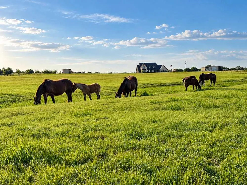 417 County Road 60 Gatesville, TX 76528