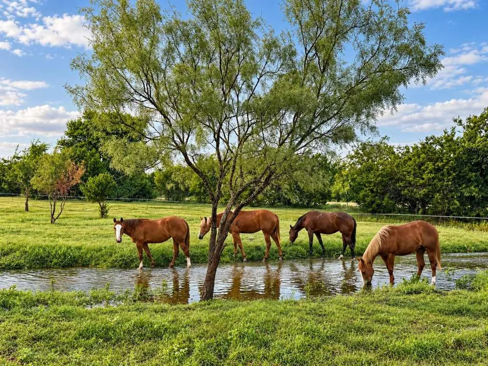 417 County Road 60 Gatesville, TX 76528