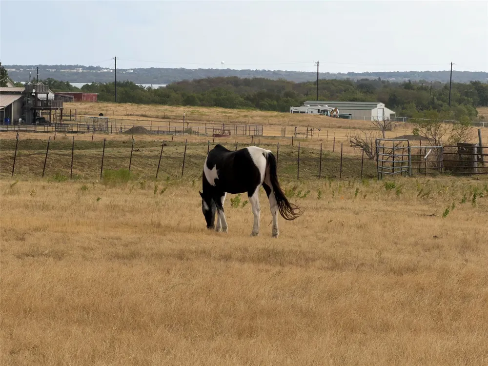 1690 Lawlis Lane Sanger, TX 76266