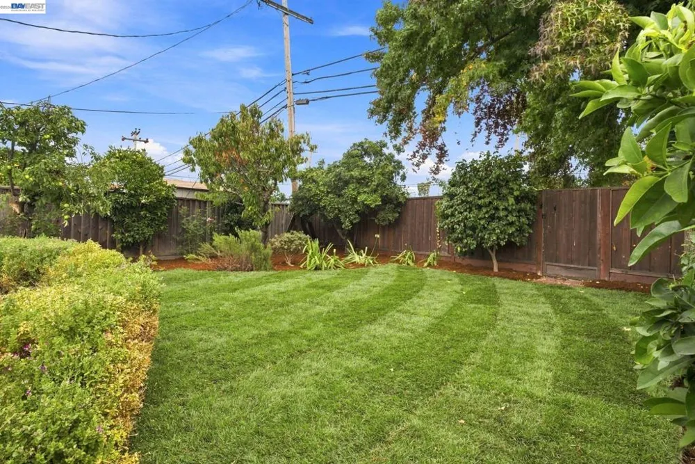 1432 Lodi Ave San Mateo, CA 94401