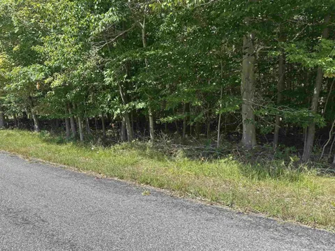 Bay Colony Road