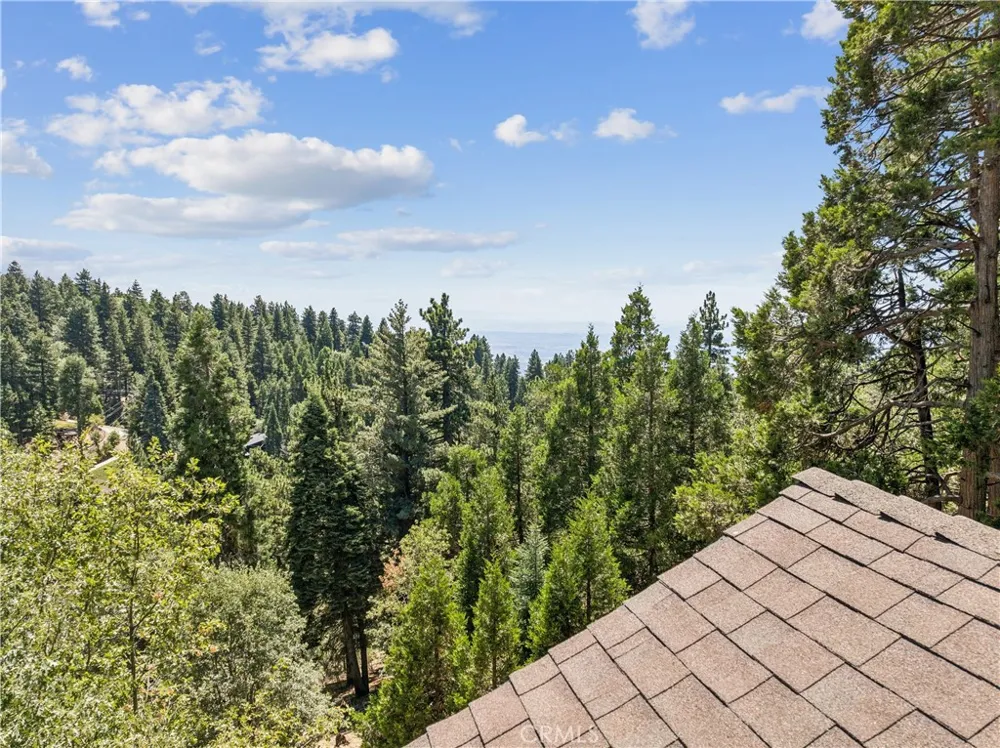 2409 Spring Oak Running Springs, CA 92382