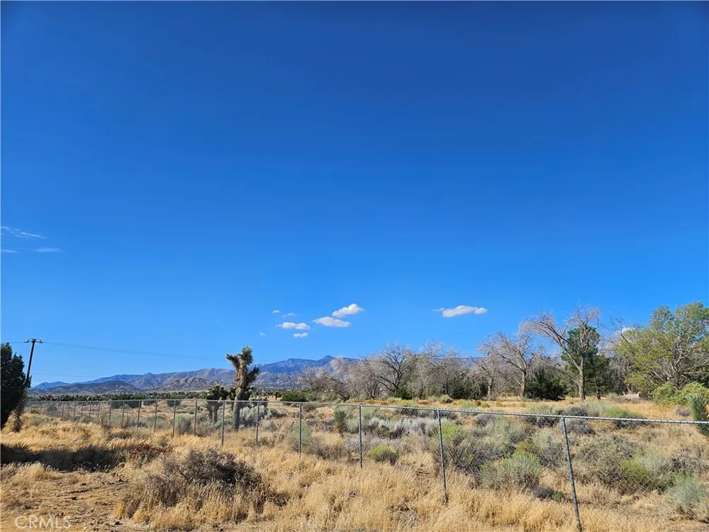 Juniper Phelan, CA 92371