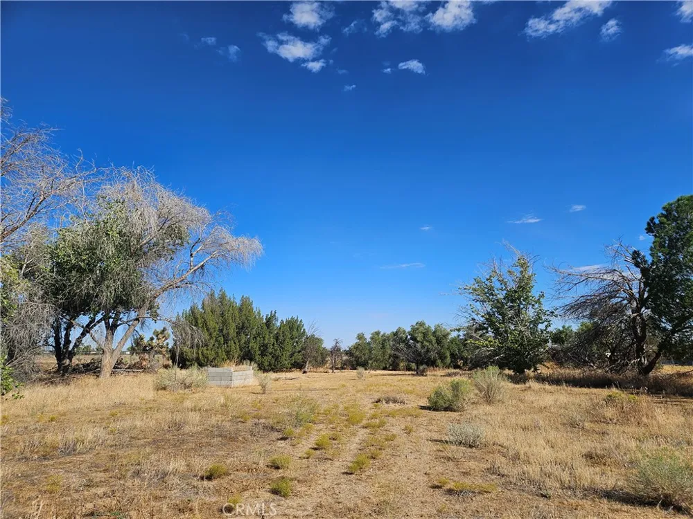 Juniper Phelan, CA 92371